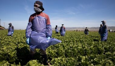 Farm Worker Jobs In USA